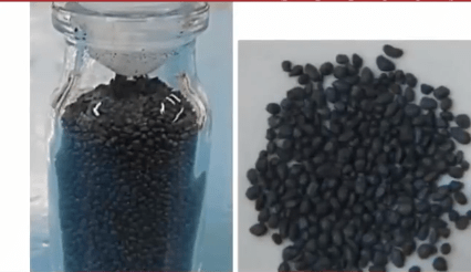 警方在安娜住所搜獲違禁農藥特丁硫磷(terbufos),此種常用作老鼠藥的劇毒物質相信是犯案工具。X@Metropoles 警方在安娜住所搜獲違禁農藥特丁硫磷(terbufos),此種常用作老鼠藥的劇毒物質相信是犯案工具。X@Metropoles