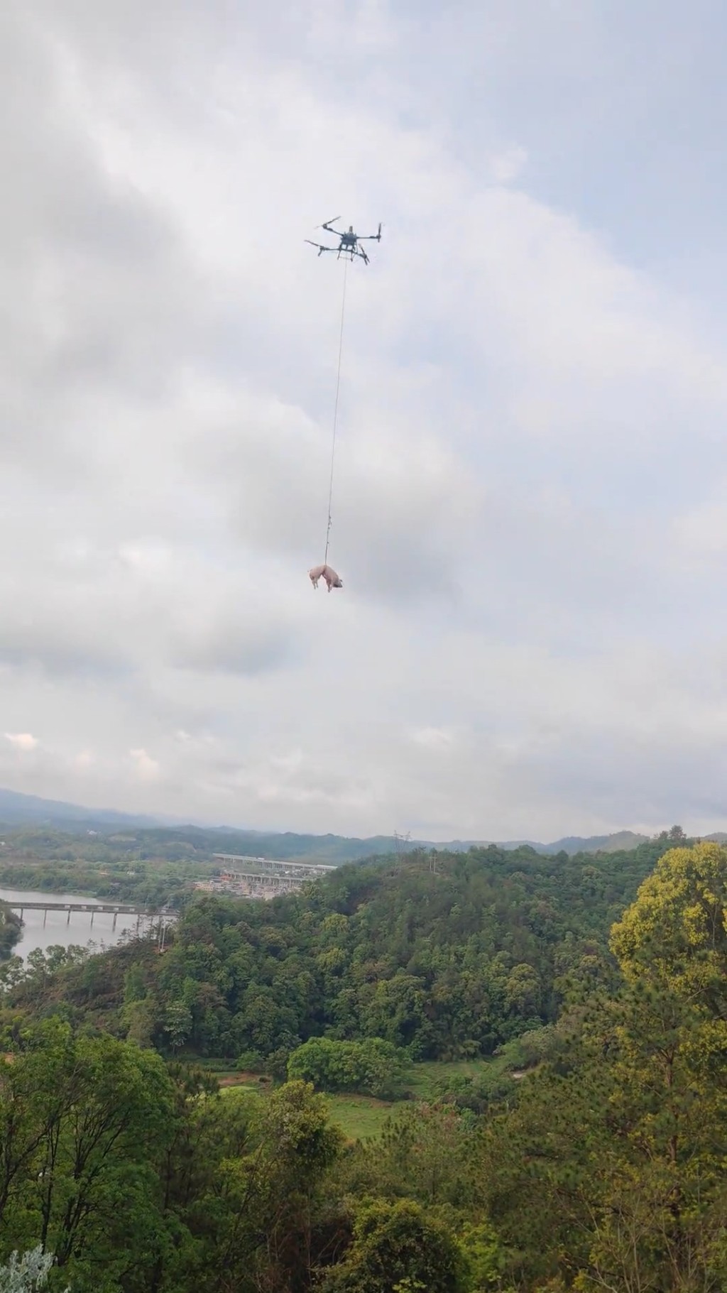 村民用无人机吊猪羊上山祭祖。抖音＠五华县佳音婚庆一站式策划