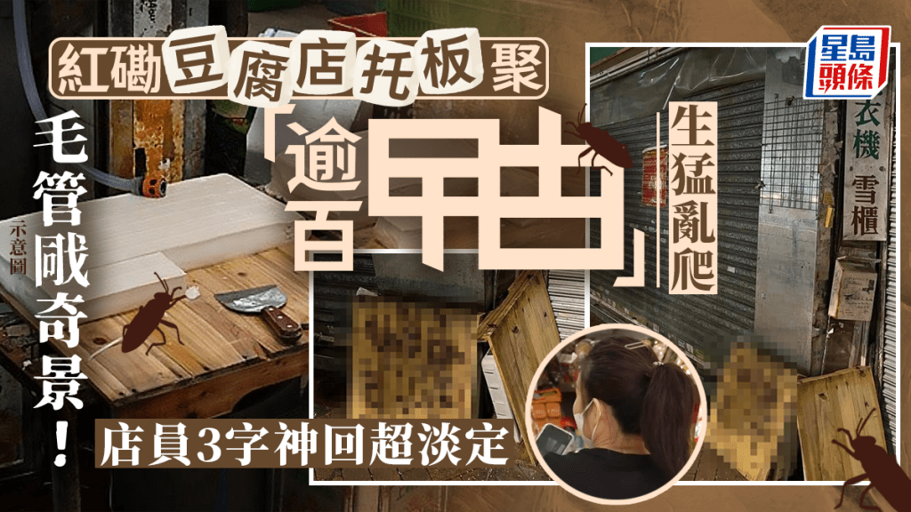 毛管戙奇景!紅磡豆腐店托板聚逾百曱甴 店員竟淡定3字神回 毛管戙奇景!紅磡豆腐店托板聚逾百曱甴 店員竟淡定3字神回