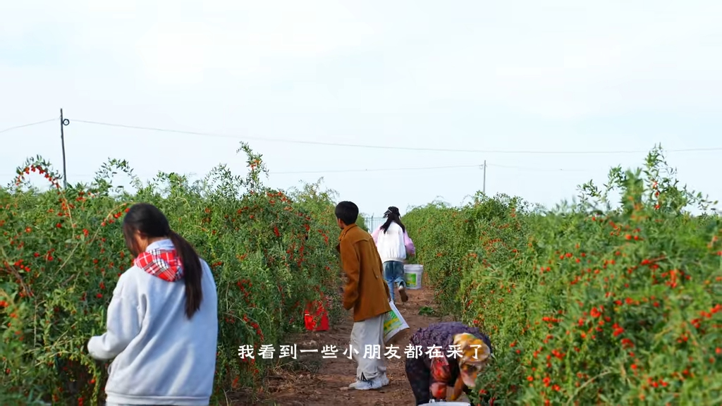 何家勁請不少人手。 何家勁請不少人手。