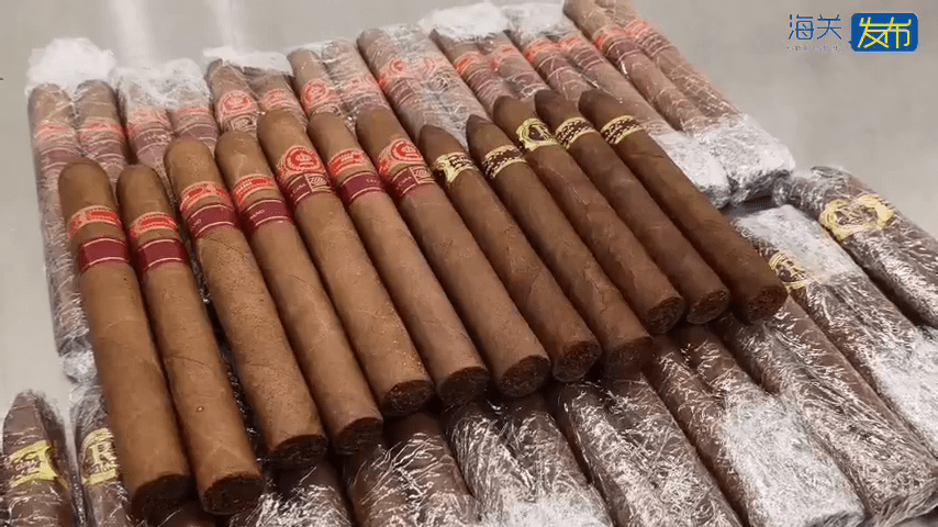 北上「水貨客」福田口岸被截查,褲檔藏48支雪茄。 北上「水貨客」福田口岸被截查,褲檔藏48支雪茄。