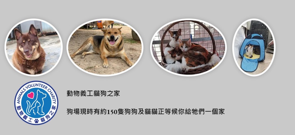 根据网页，​狗场现时有约150只狗狗及猫猫正等候爱狗及爱猫人士给它们一个家。网上截图