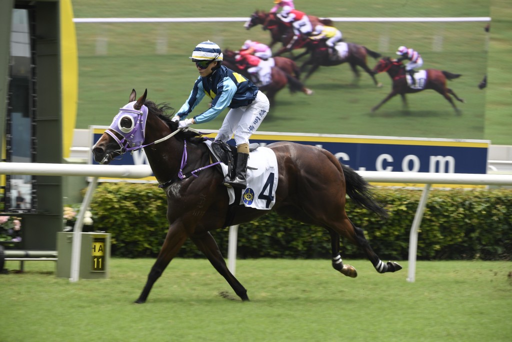 「勇冠群英」已证明四班够赢有馀，当锐马值得追捧。