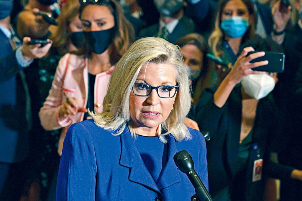 利兹．切尼周三被踢出共和党领导层后见记者。