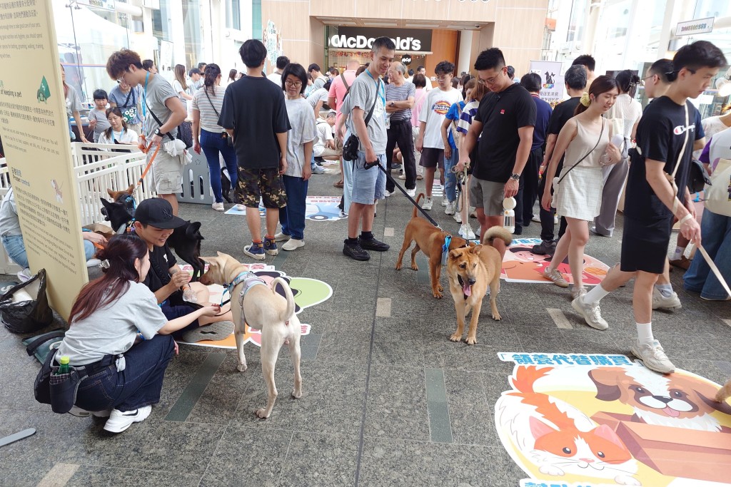 以照顧動物「醫、食、住、行」為主題的市集 。 以照顧動物「醫、食、住、行」為主題的市集 。