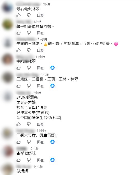 網民對王馨平三姊妹的顏值有不同睇法。 網民對王馨平三姊妹的顏值有不同睇法。