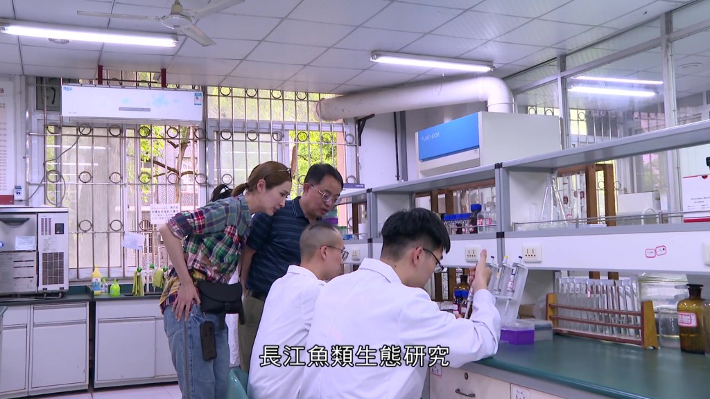 姚教授指有些魚類在長江生活了上萬年。