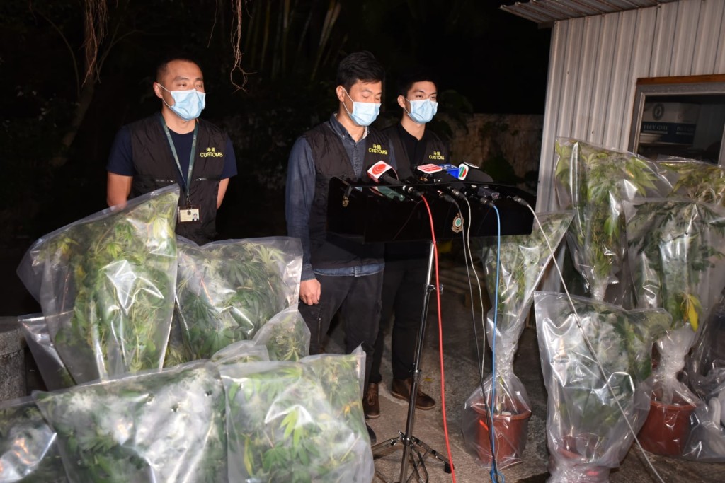 海關在西貢村屋檢出13棵大麻及朱古力值100萬元。
