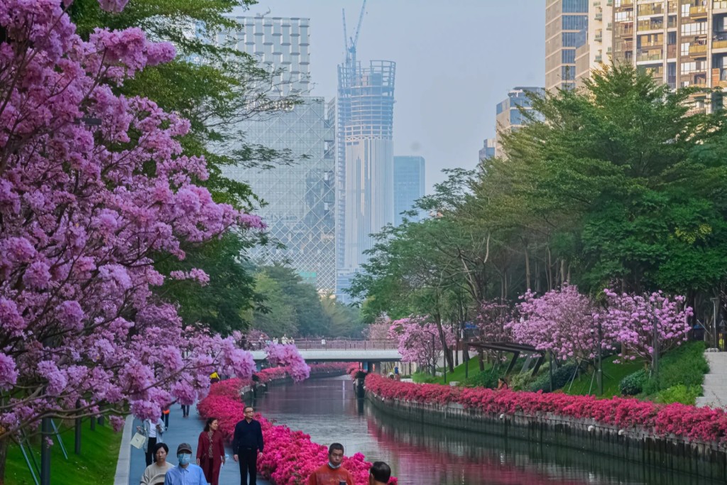 3. 后海中心河公園（圖片來源︰带娃穷游的小花@小紅書）