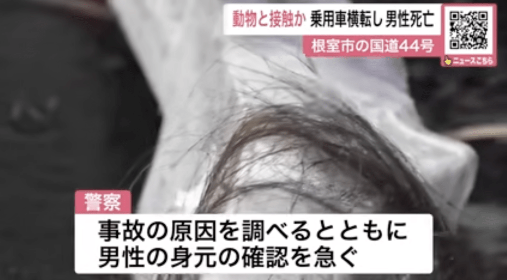 警方事后在涉事车辆上发现疑似棕熊的毛发，怀疑车辆在高速行驶期间撞击野生棕熊肇事。