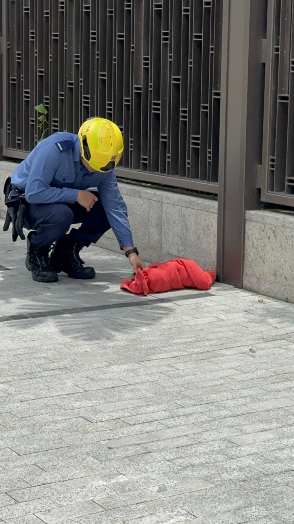 消防員替幼貓進行急救及餵水,又拿出氧氣罩協助幼貓呼吸。ahtisham_ahmadd@Threads片段截圖 消防員替幼貓進行急救及餵水,又拿出氧氣罩協助幼貓呼吸。ahtisham_ahmadd@Threads片段截圖