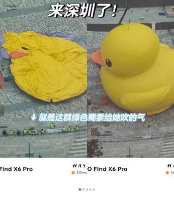 「大黃鴨」已經抵達深圳，進行展示前的準備工作。深圳發佈