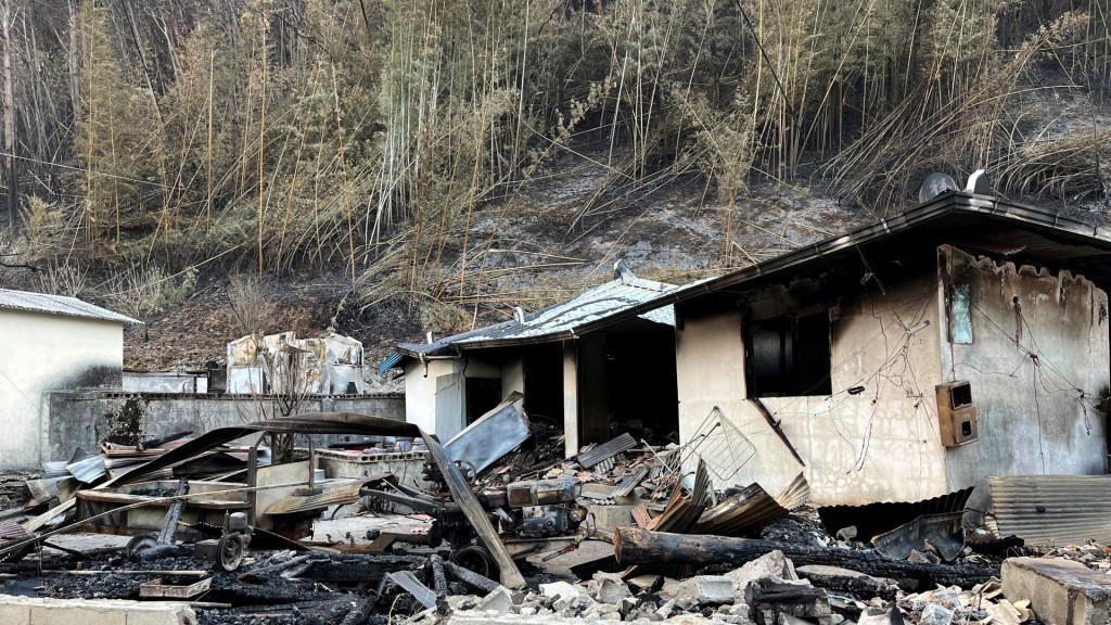 山清郡房屋被山火燒毀。 路透社 山清郡房屋被山火燒毀。 路透社