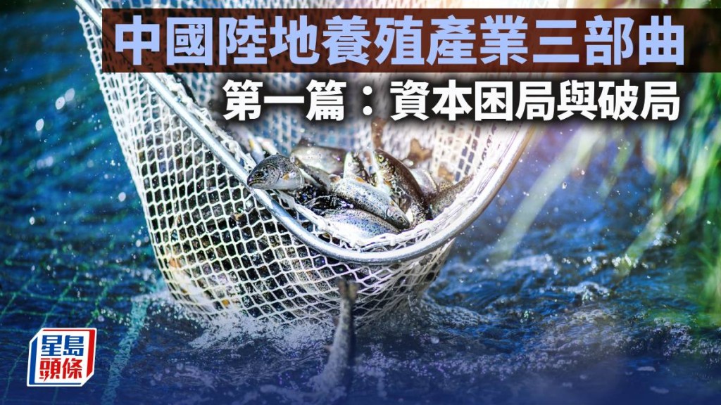 中國陸地養殖產業三部曲 第一篇：資本困局與破局｜陳新燊