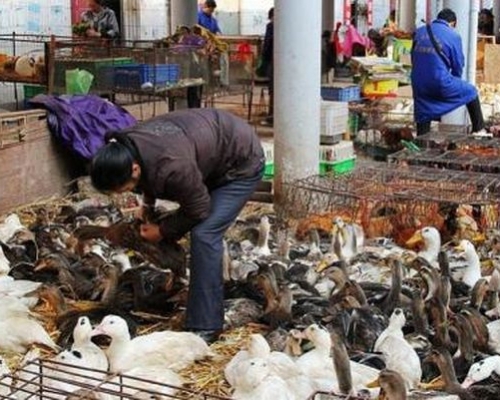 两名患者病情危重在医院隔离住院治疗。