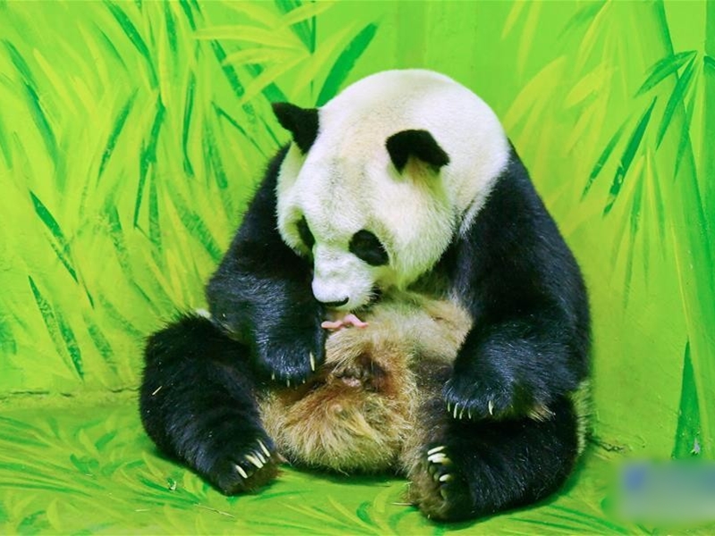 網圖