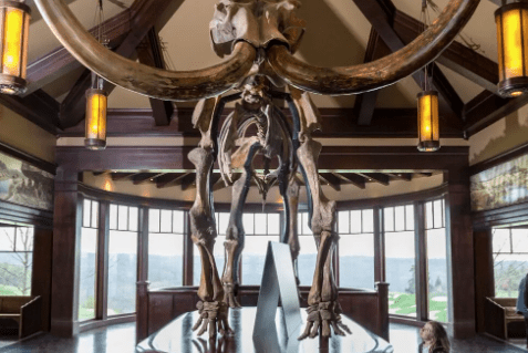 美國密蘇里州「奧沙克古自然史博物館」發生破壞展品事件。(Big Cedar Lodge)