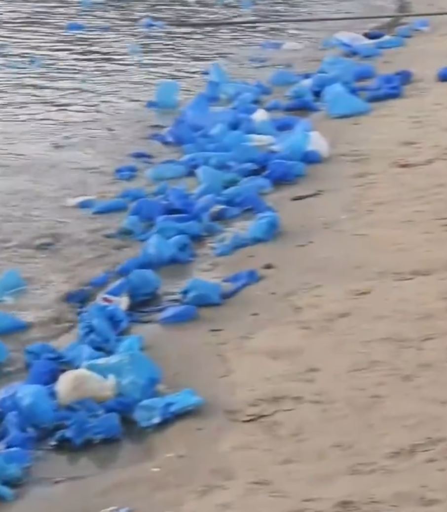 游客观看“蓝眼泪”后遗下大量胶鞋套垃圾。