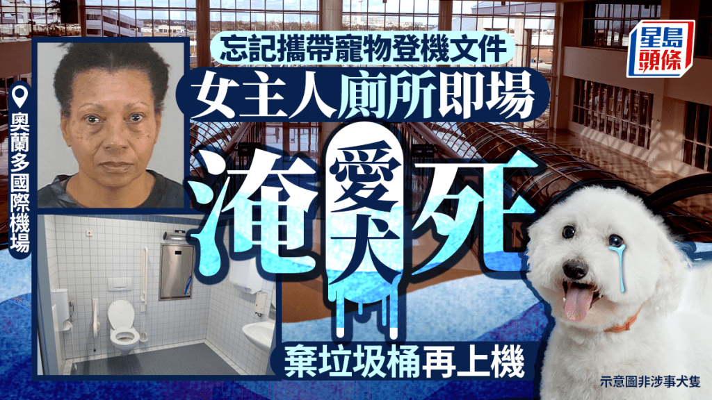 忘記攜帶寵物登機文件 美國佛州女子將愛犬廁所淹死棄垃圾桶