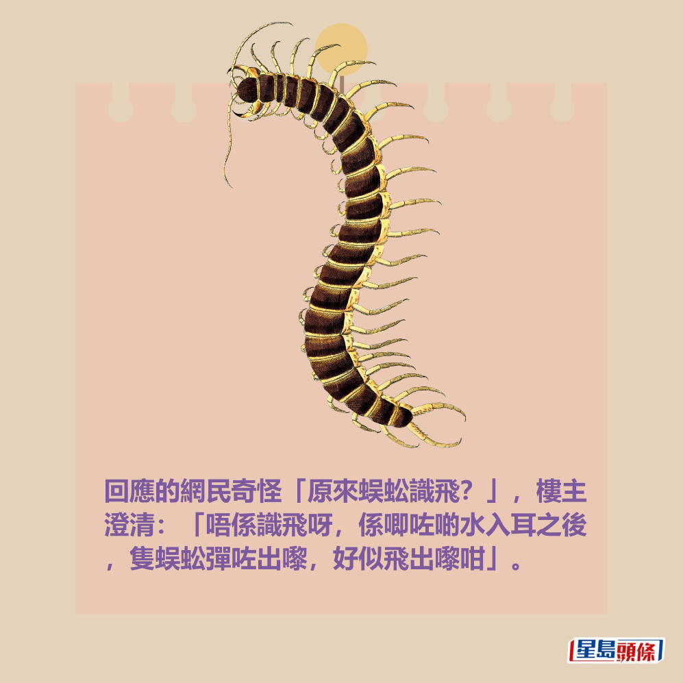回應的網民奇怪「原來蜈蚣識飛?」,樓主 澄清:「唔係識飛呀,係唧咗啲水入耳之後 ,隻蜈蚣彈咗出嚟,好似飛出嚟咁」。 回應的網民奇怪「原來蜈蚣識飛?」,樓主 澄清:「唔係識飛呀,係唧咗啲水入耳之後 ,隻蜈蚣彈咗出嚟,好似飛出嚟咁」。