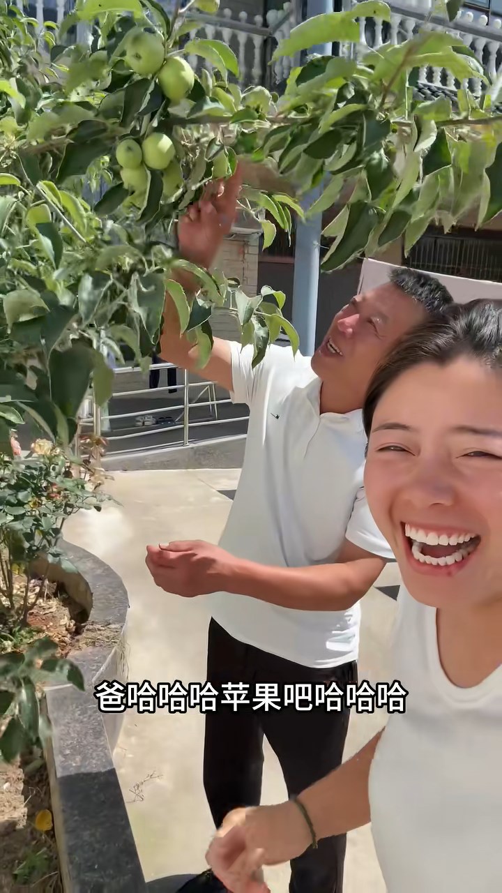 网购「车厘子」树苗结苹果，父女得知真相哭笑不得。抖音@睢县曼玉