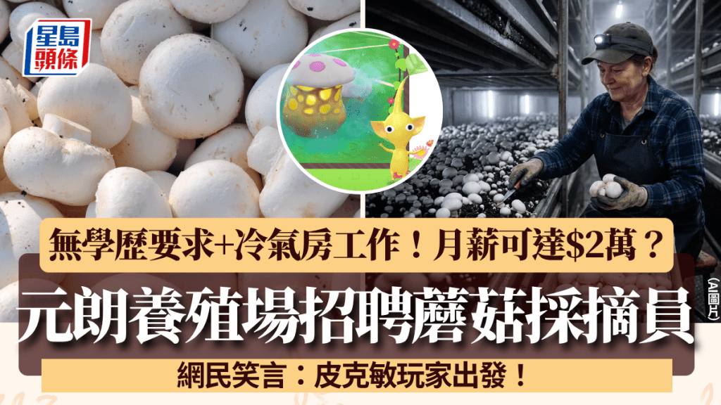 元朗養殖場招聘蘑菇採摘員！無學歷要求+冷氣房工作 網民：皮克敏玩家出發！