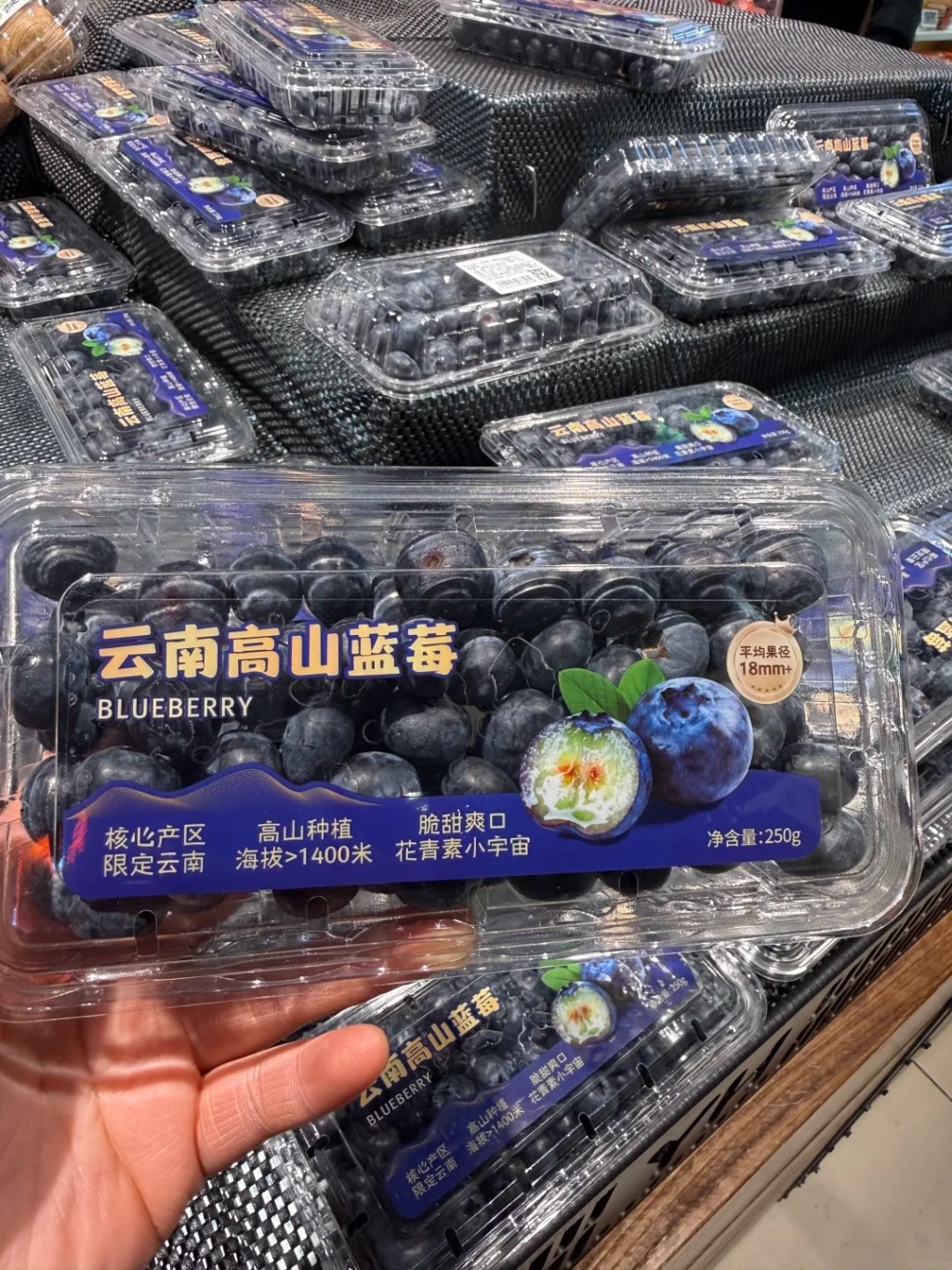 国产蓝莓涌入市场下，令蓝莓出现“白菜价”。小红书＠紫玲珑