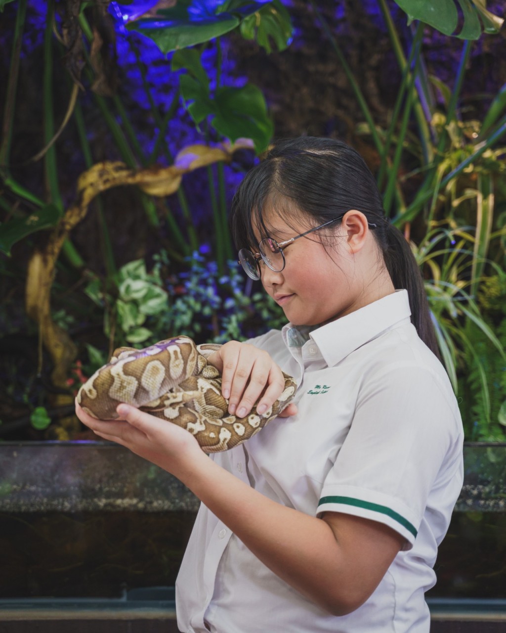 慕光英文書院︳免費標本工作坊 近距離接觸兩棲爬蟲動物（圖片來源：慕光英文書院）