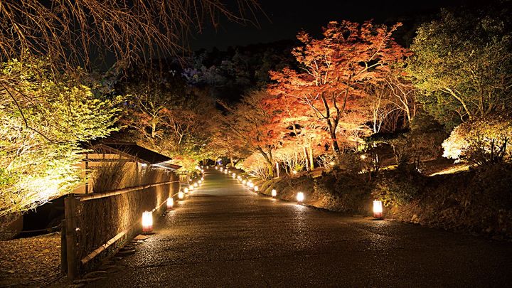 嵐山燈01