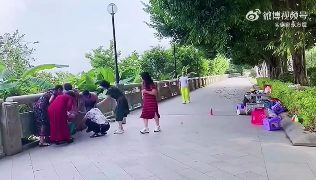石栏杆当健身器材，大妈意外扯断砸腿后断成几截。　