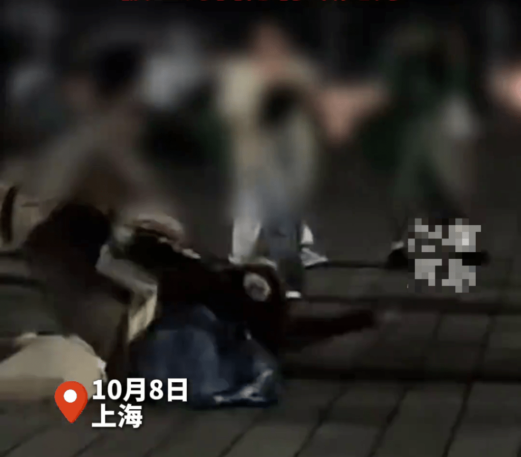 一對母女與另一粉媽爆發衝突，混亂中有人倒地。