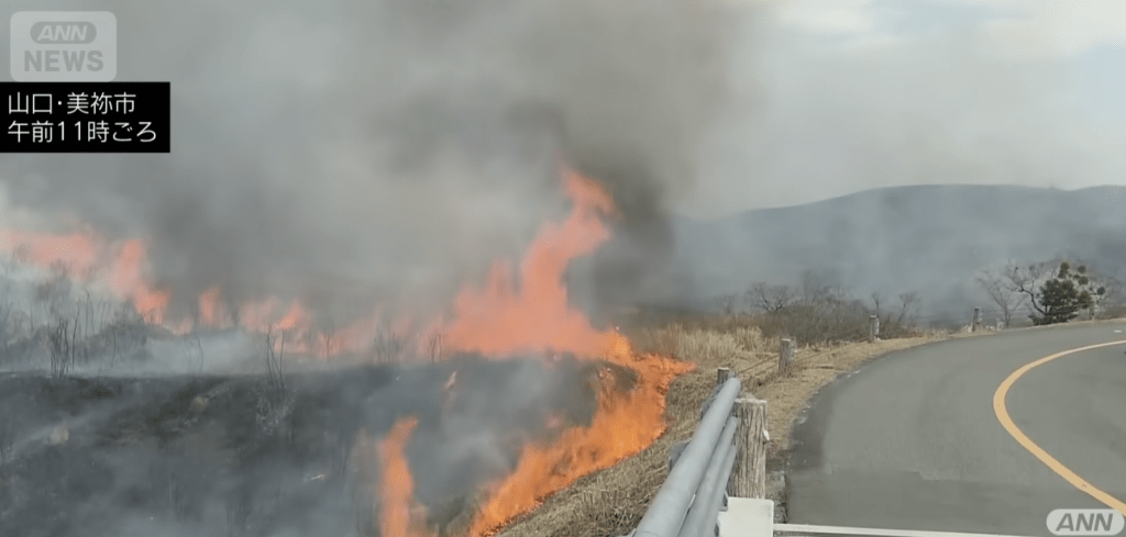 日本山口秋吉台燒山釀悲劇,六旬工作人員衣服著火焚身不治。ANN NEWS 日本山口秋吉台燒山釀悲劇,六旬工作人員衣服著火焚身不治。ANN NEWS