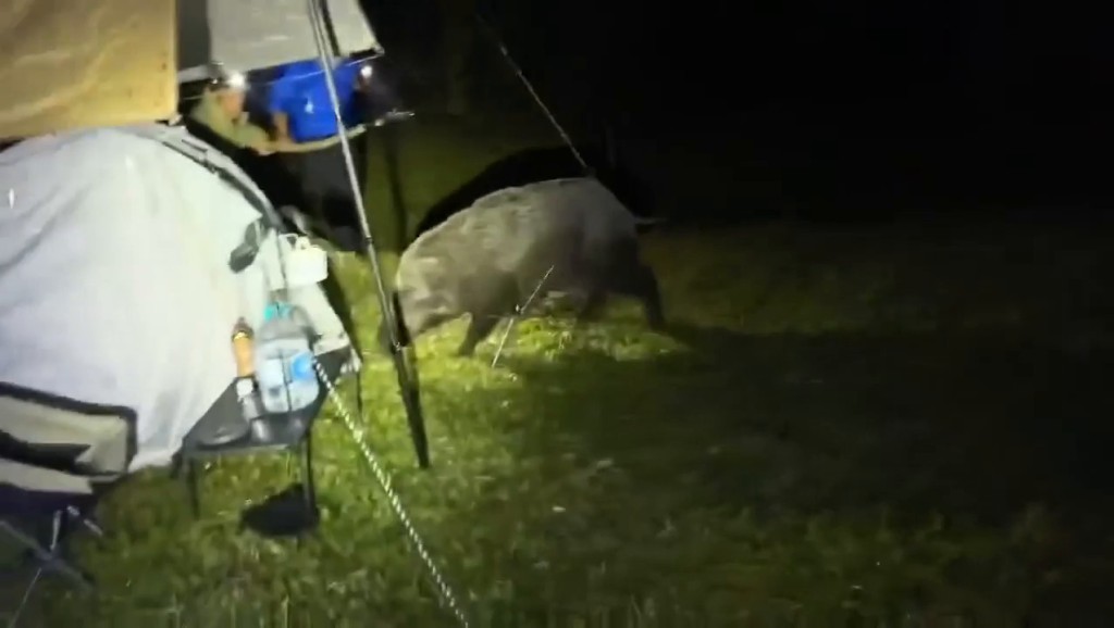 Threads截圖(資料來源:szewai_li@Threads) Threads截圖(資料來源:szewai_li@Threads)