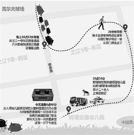 一家六口的野豬闖入民居路線。網圖