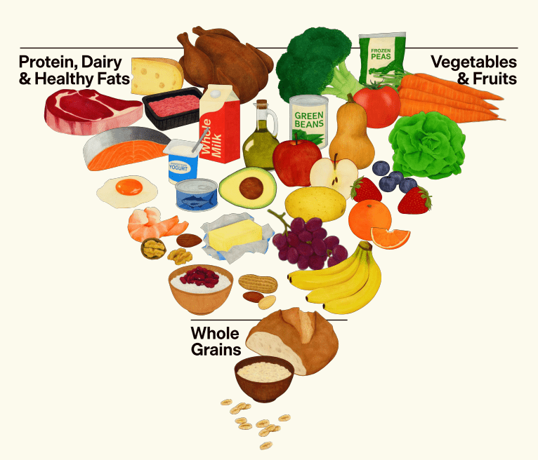 美國政府去年最新公布的《2025-2030年美國膳食指南》（DGA），首次以「倒金字塔」形式呈現。（圖：Realfood.gov）