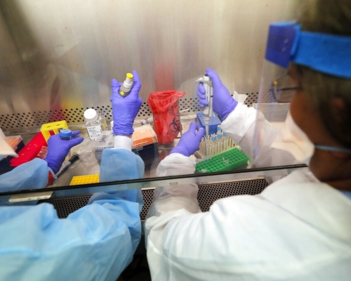 美國有科學家稱有證據證明新型冠狀病毒是天然產生的。AP資料圖片