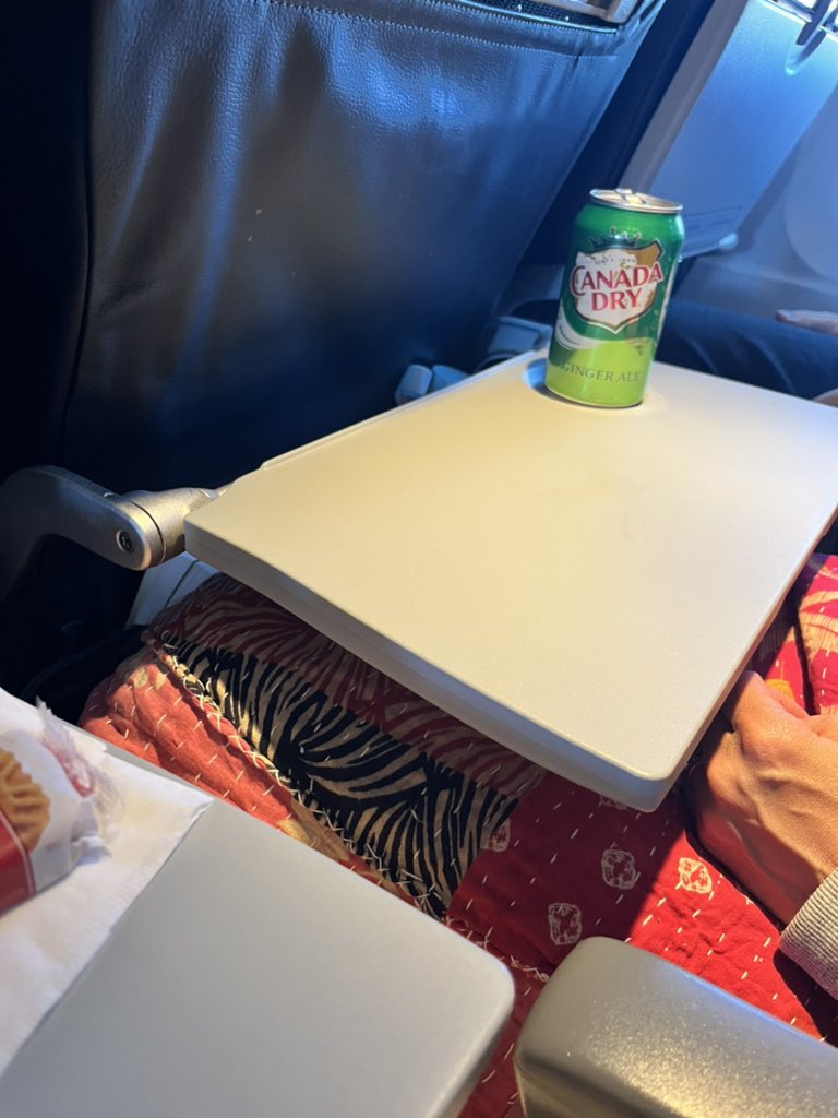 許多網民也表示在航機上飲薑汁汽水風味更佳。