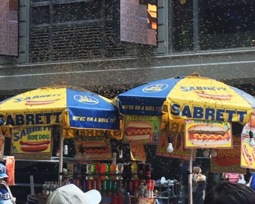 逾萬隻小蜜蜂佔領美國紐約時代廣場內其中一檔熱狗小販檔。 AP圖