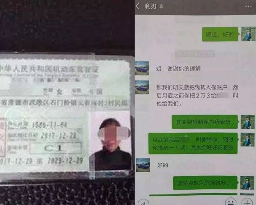假車牌。網圖