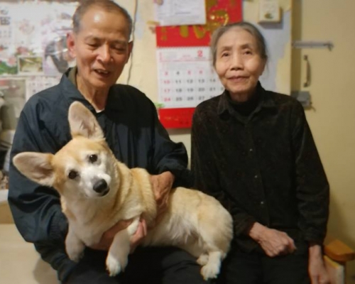 姓劉76歲夫婦飼養哥基Money11年來不離不棄。