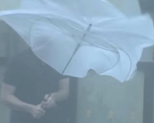 九州遭受狂風大雨吹襲。網上圖片