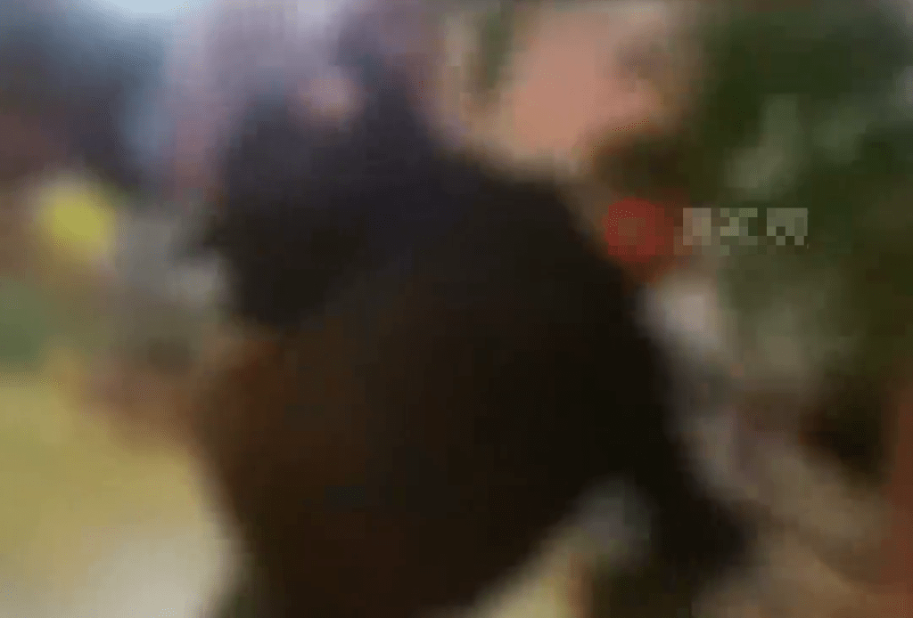 女方被拉扯倒地。 女方被拉扯倒地。