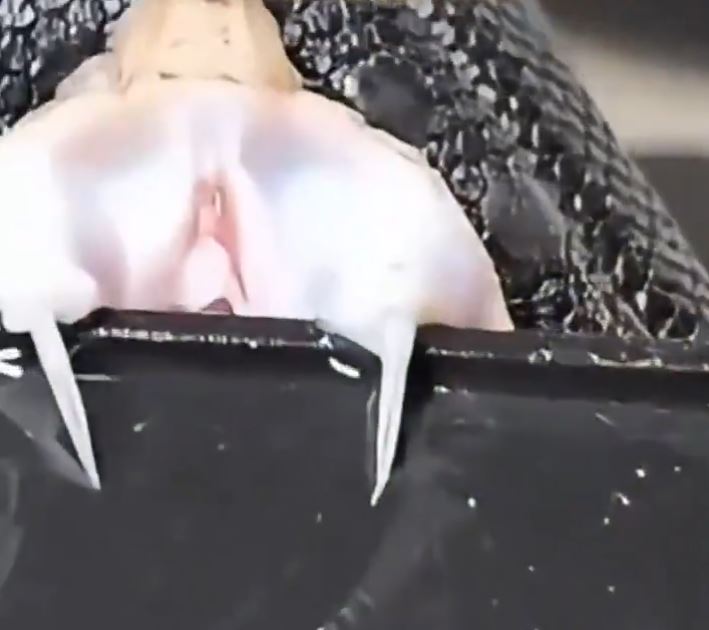 蛇毒賣西醫。抖音