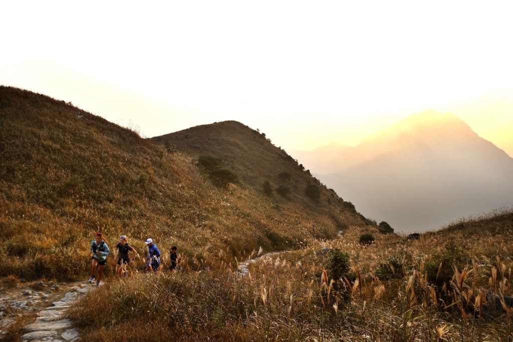記者試問前往大東山觀賞芒草的交通及上山路線。