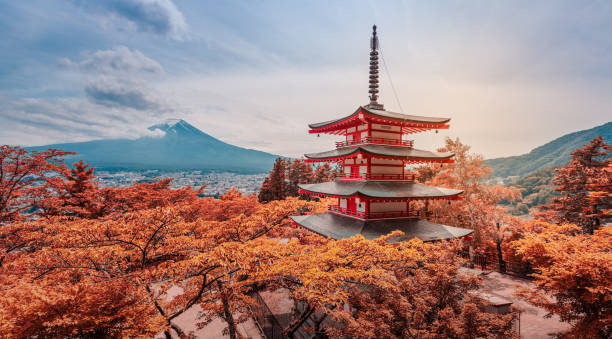 生於秋天金旺的季節,五行通常缺乏「木」,家居適合擺放多些花草樹木。 生於秋天金旺的季節,五行通常缺乏「木」,家居適合擺放多些花草樹木。