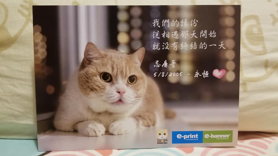 紀念postcard