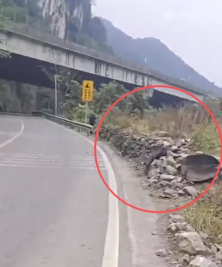 领克汽车冲出山路地点。