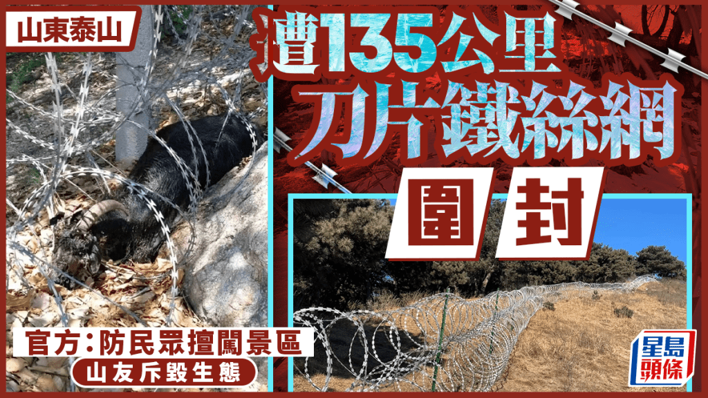 泰山遭135公里刀片铁丝网围封  景区指防野爬网民斥毁生态