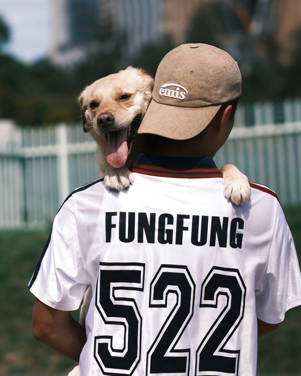 孔德賢多隻狗狗教曉他甚麼是愛甚麼是責任。 孔德賢多隻狗狗教曉他甚麼是愛甚麼是責任。