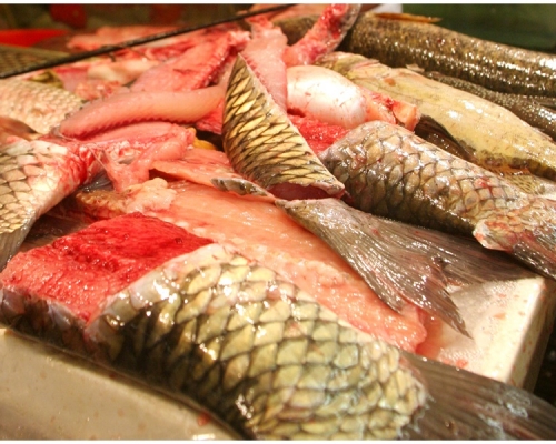長沙灣副食品市場有鯇魚含孔雀石綠。示意圖